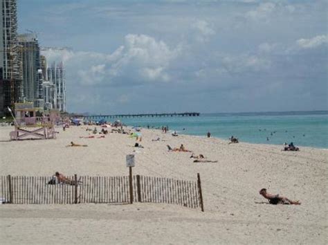 beach cruising gay|Haulover Park Gay Nudist Beach, Miami .